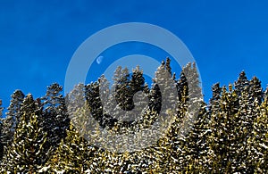 Breckenridge Colorado Half Moon