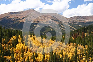 Breckenridge Fall Colors