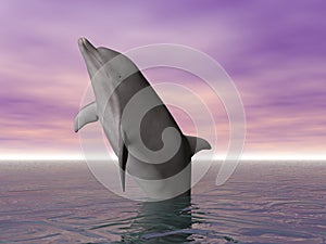Breeching Dolphin photo