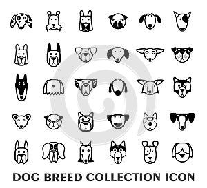 Breed dog collection icon, vector