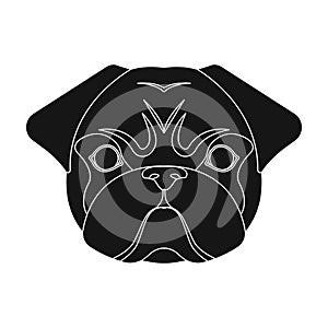 Breed of a dog, a pug.Pug`s muzzle single icon in black style vector symbol stock illustration web.