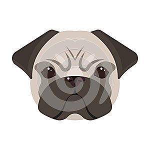 Breed of a dog, a pug.Pug`s muzzle single icon in cartoon style vector symbol stock illustration web.