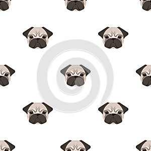 Breed of a dog, a pug.Pug`s muzzle single icon in cartoon style vector symbol stock illustration web.