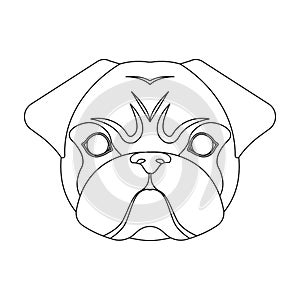 Breed of a dog, a pug.Pug`s muzzle single icon in outline style vector symbol stock illustration web.