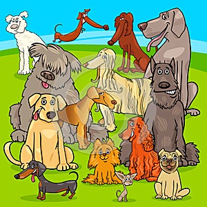 Breed dogs cartoon characters group