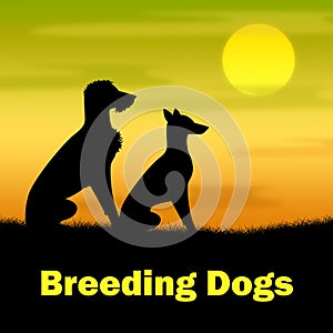 Breeding Dogs Shows Reproducing Doggy And Canines photo
