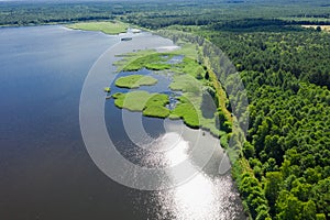 A breeding pond in the forest. View from the drone.