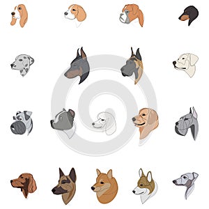 Breeds of dogs drawn in minimal style set. One line dogs. Vector illustration with colours.