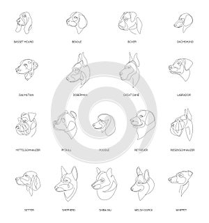 Razze da allenato minimo stile impostato. uno linea. vettore illustrazioni 