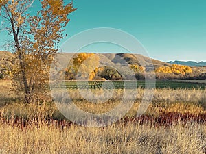 Breezy Mesa and Farm Field