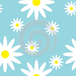 Breezy seamless pattern with daisies