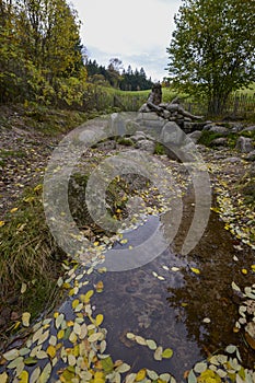The Breg Spring is considered the source of the Danube