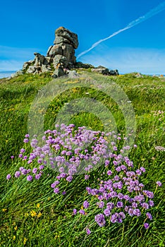 Brehat island france