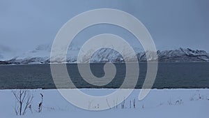 At the Breidvik ferry, Sogn og Fjordane, Norway, in winter