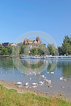 Breisach,Rhine,Kaiserstuhl,black forest,germany