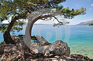 Brela,Makarska Riviera,Dalmatia,Croatia