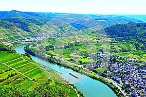 Bremm, Germany - 08 20 2020: cargo ship on the narrow Mosel near Bremm