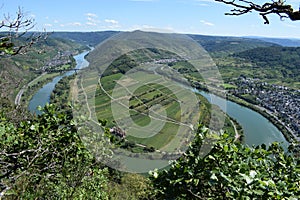 Bremm, Germany - 08 20 2020: view from Calmont to the Mosel curve with all three villages