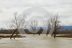 Brenta river flood. Italian rural landscape