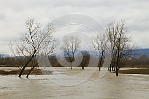 Brenta river flood. Italian rural landscape