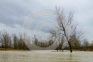 Brenta river flood. Italian rural landscape