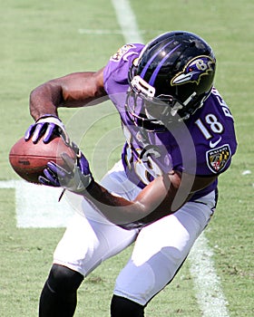 Breshad Perriman