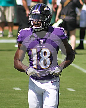 Breshad Perriman
