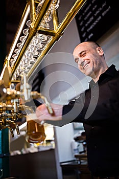 Brewer filling beer in beer glass from beer pump