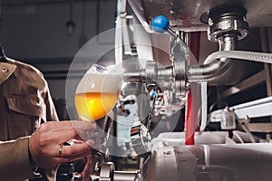 Brewer man and apron pours beer in a glass for quality control, standing behind the counter in a brewery.