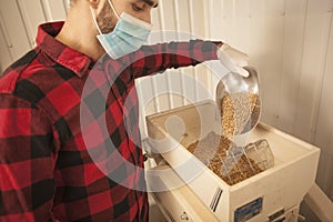 Brewer pouring barley seeds into grain mill at his brewery
