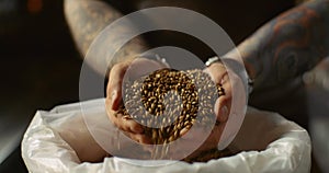 The brewer takes a handful of malt from the bag in the palm of his hand and pours it out