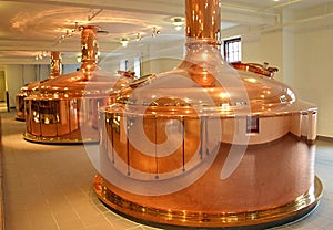 In the Brewery