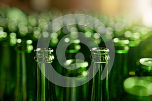 Brewery. Beer Bottles On Manufacture