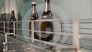 Brewery. Industrial line for bottling carbonated alcoholic beverages. Dark-colored glass bottles move inside the filling