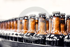 Brewery industry food factory manufacturing. Beer bottles on conveyor production line