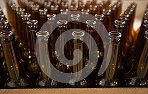 The necks of empty beer bottles, which will pour beer, top view