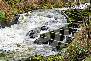 Brewery Park Rapids 2