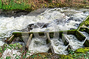 Brewery Park Rapids 3
