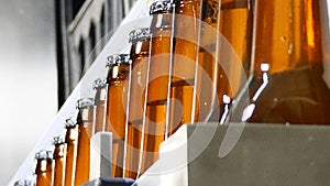 Brewery theme. Conveyor belt at bottle factory - beer bottles in production and bottling. Technological line for