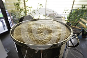 Brewing beer at home is a popular hobby