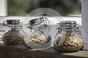 Brewing Ingredients In Glasses