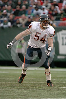 Brian Urlacher, Chicago Bears