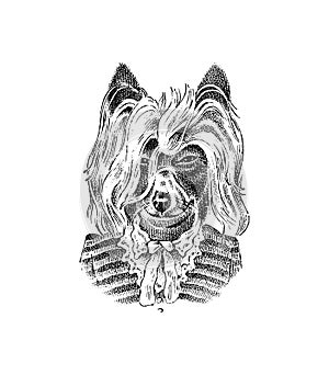 Briard or Herding dog dressed up in Suit. Fashion Animal character in clothes. Hand drawn sketch. Vector engraved