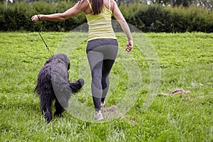 Briard and woman are walking on grass in park.