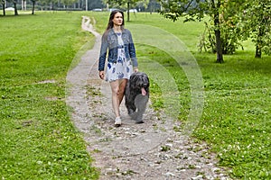 Briard and woman are walking in patk at summer.