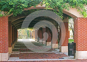 Brick Archway