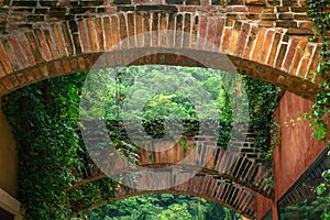 Brick archway covered with vines