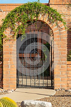 Brick archway with green vines on key stone with black metal gate in courtyard in suburban house or home front