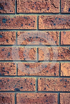 Brick background - red bricks, rustic wall, texture background, brick, wall backdrop