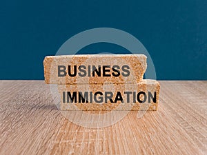 Brick blocks with words business immigration on wooden table. Blue background.